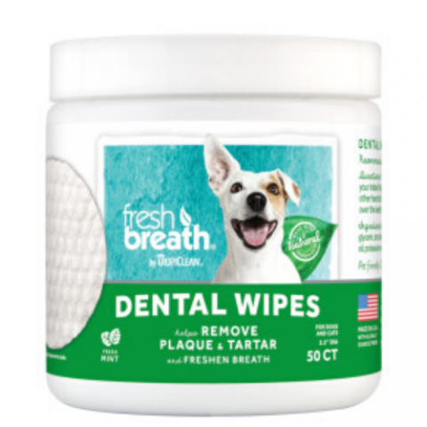 dental wipes 500 front